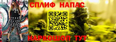 стафф Краснодар