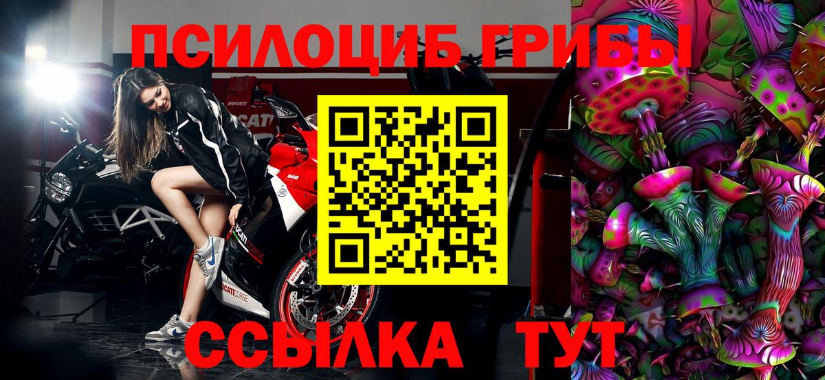 Галлюциногенные грибы Magic Shrooms Камышин